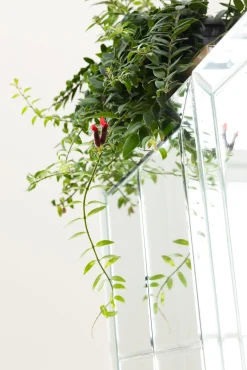 Online KARE Design Barek Luxury 89x181 cm srebrny - KARE