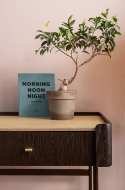 Clearance KARE Design Biurko Milano 140x58 cm ciemnobrązowe z kremowym blatem - KARE