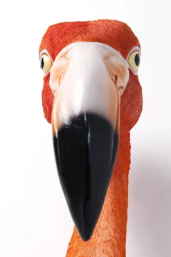 New KARE Design Dekoracja ścienna Flamingo Road 27x72 cm - KARE