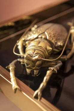 Hot KARE Design Dekoracja ścienna Longicorn Beetle 15x27 cm złota - KARE