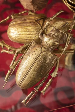 Hot KARE Design Dekoracja ścienna Longicorn Beetle 15x27 cm złota - KARE