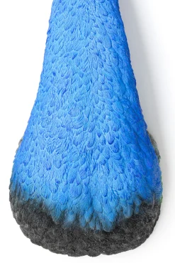 Discount KARE Design Dekoracja ścienna Peacock 16x68 cm niebieska - KARE