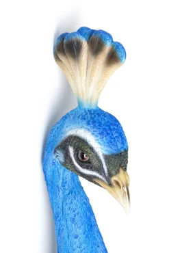 Discount KARE Design Dekoracja ścienna Peacock 16x68 cm niebieska - KARE