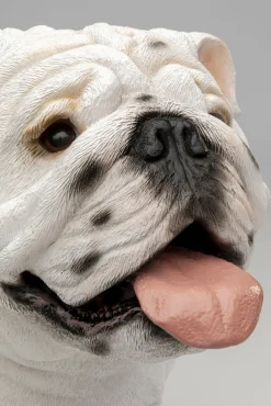 Clearance KARE Design Dekoracja stojąca do salonu pies buldog 44x49 cm - KARE