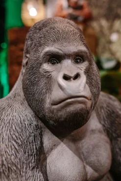 Online KARE Design Dekoracja stojąca Gorilla 60x76 cm ciemnoszara - KARE