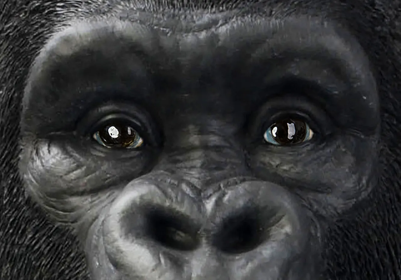 Sale KARE Design Dekoracja stojąca Gorilla Front 90x107 cm czarna - KARE