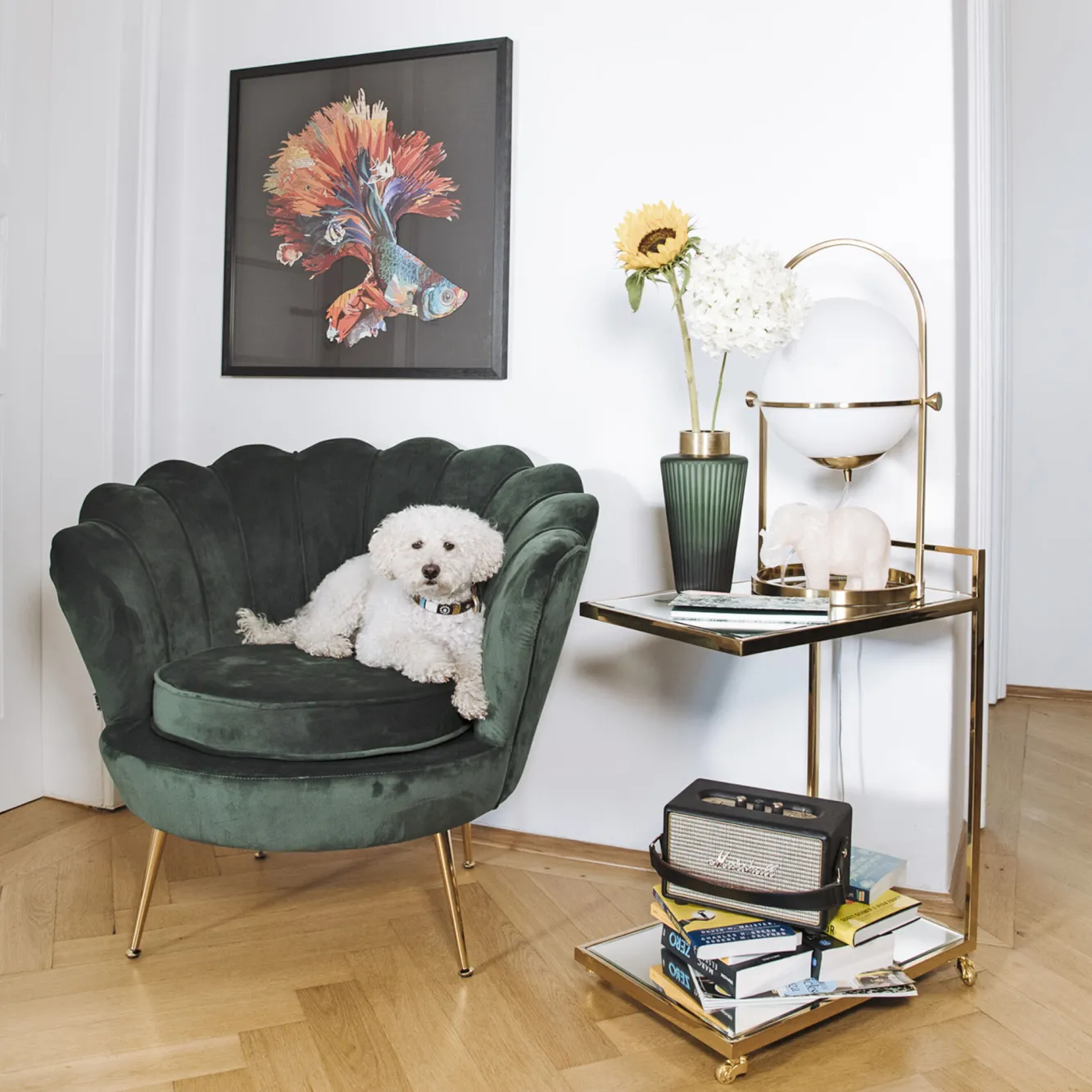 Hot KARE Design Fotel nowoczesny muszelka ciemnozielony aksamitny nogi złote 83x77 cm - KARE