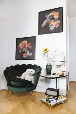 Hot KARE Design Fotel nowoczesny muszelka ciemnozielony aksamitny nogi złote 83x77 cm - KARE