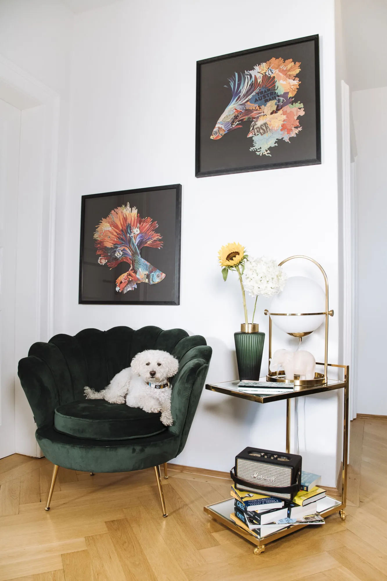 Hot KARE Design Fotel nowoczesny muszelka ciemnozielony aksamitny nogi złote 83x77 cm - KARE