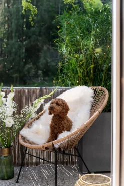 Best KARE Design Fotel ogrodowy Spaghetti 73x87 cm naturalny nogi czarne - KARE