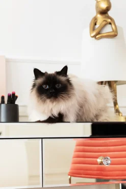 Discount KARE Design Konsola Luxury Gold 100x40 cm szampańska - KARE