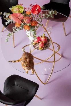 Discount KARE Design Krzesło Viva 50x82 cm czarne - nogi złote - KARE