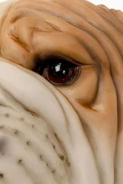 Fashion KARE Design Lampa ścienna Animal Dog Head 25cm - KARE