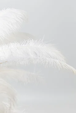 Best KARE Design Lampa stołowa palma biała strusie pióra 60 cm podstawa złota - KARE