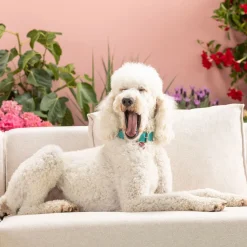 Clearance KARE Design Narożnik Infinity Ottomane 306x182 cm kremowy lewy - KARE