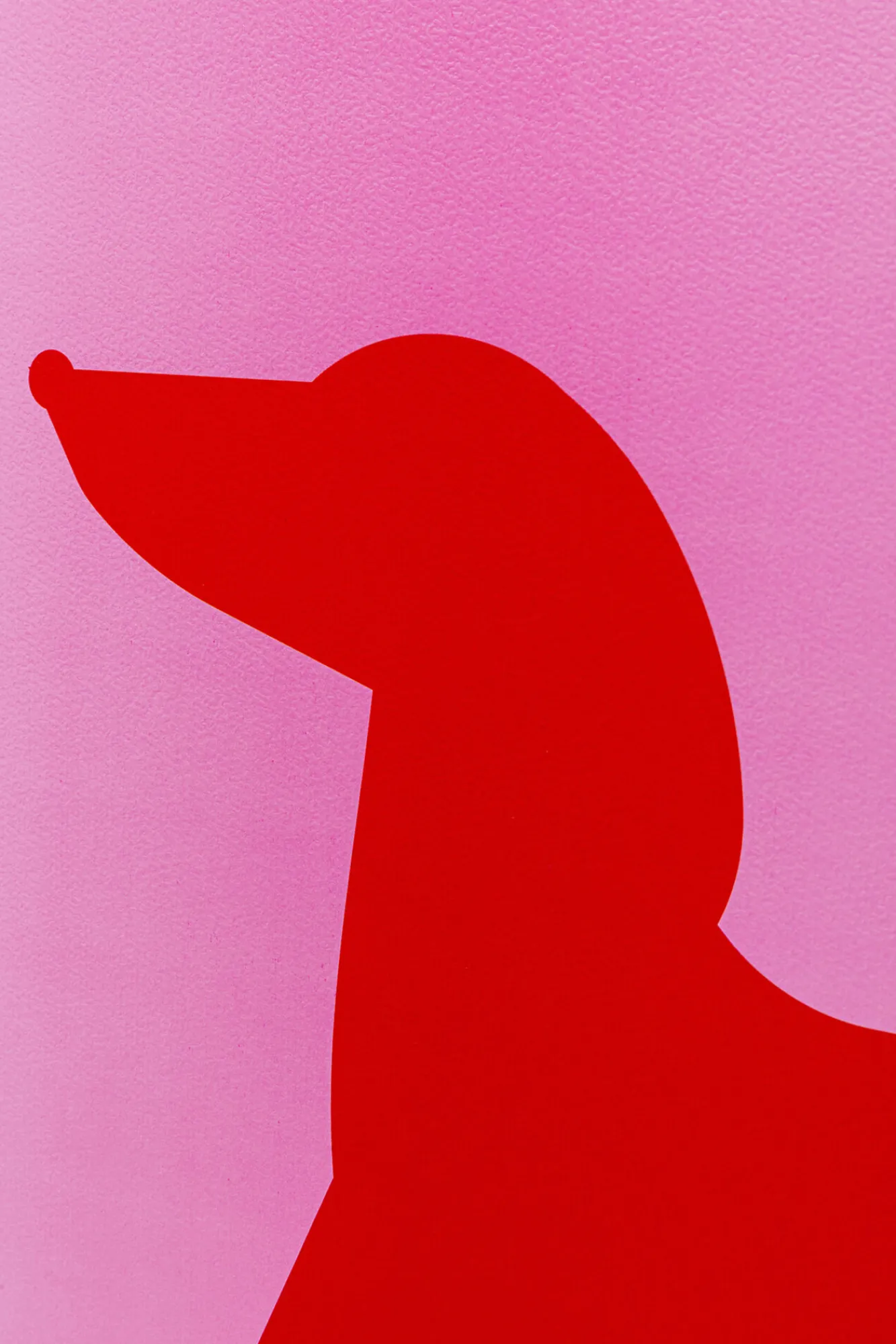 Online KARE Design Obraz 2-elementowy 30x40 cm czerwono-różowy pies jamnik - KARE