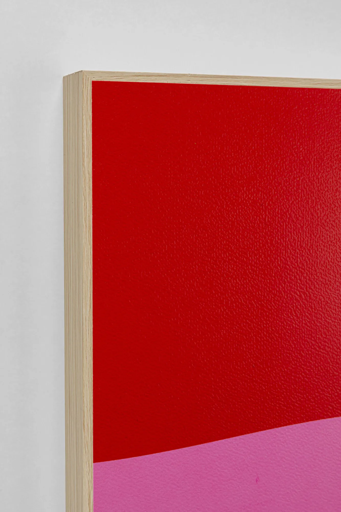 Online KARE Design Obraz 2-elementowy 30x40 cm czerwono-różowy pies jamnik - KARE