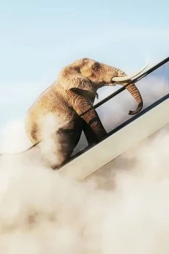 Best KARE Design Obraz kolorowy słoń w chmurach rama czarna z aluminium 150x100 cm - KARE