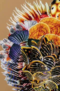 Discount KARE Design Obraz kwadratowy kolorowy rama czarna z aluminium 120x120 cm - KARE