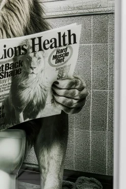 Fashion KARE Design Obraz szklany 60x80 cm motyw zwierzęcy lew w toalecie - KARE