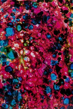 Sale KARE Design Obraz Wild Berries 205x125cm - KARE