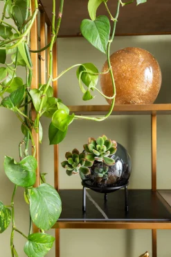 Discount KARE Design Regał Cesaro 90x170 cm złoty - półki czarne i naturalne - KARE