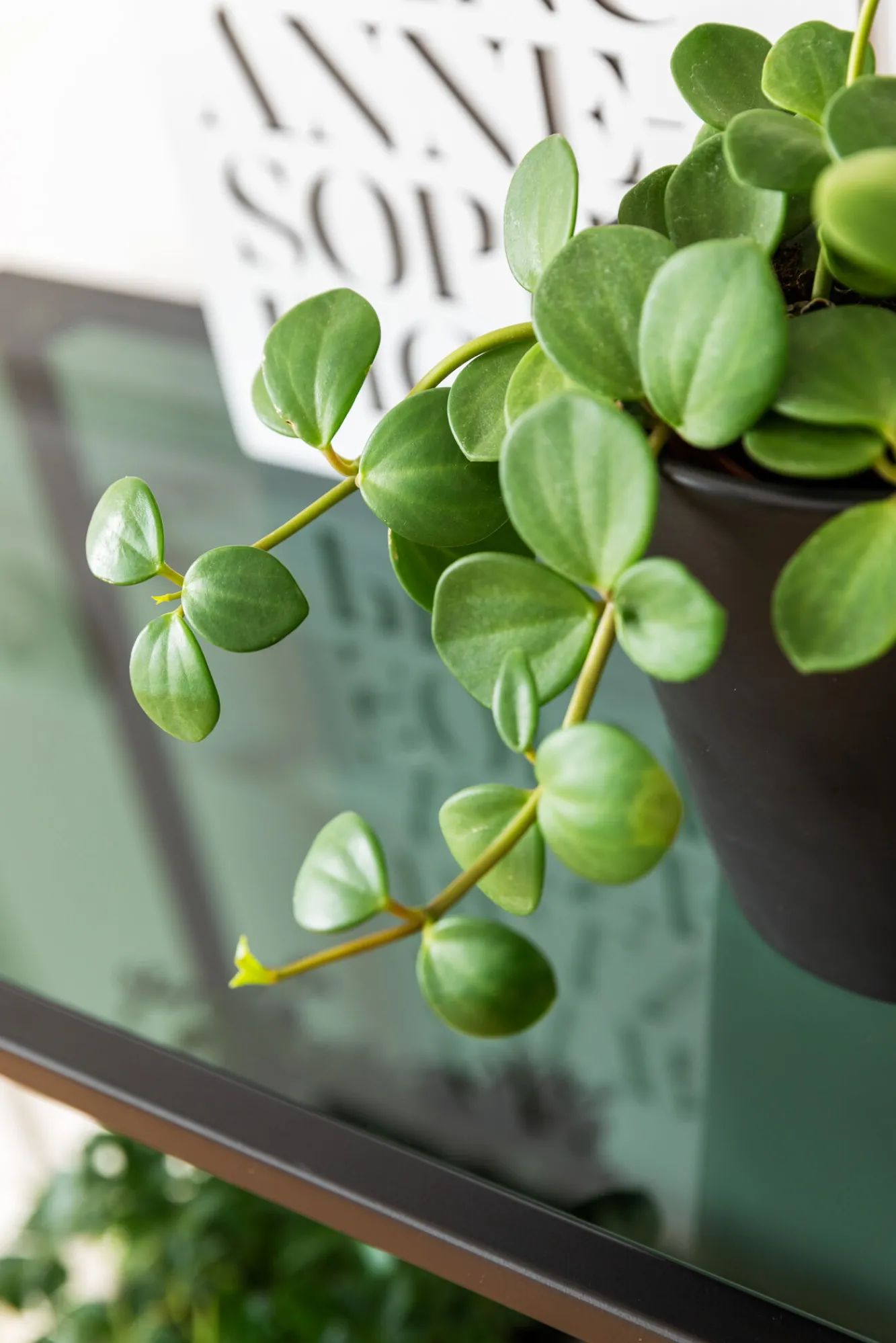 Best KARE Design Regał Loft 115x195 cm czarny - KARE