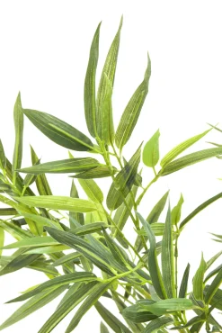 Fashion KARE Design Roślina dekoracyjna Bamboo Tree 200 cm - KARE