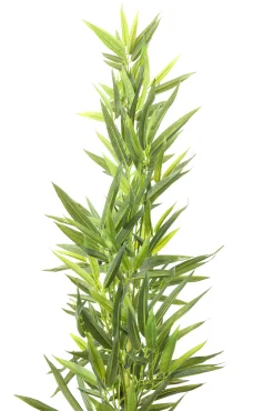 Fashion KARE Design Roślina dekoracyjna Bamboo Tree 200 cm - KARE