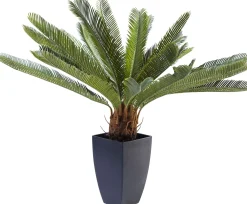 Online KARE Design Roślina dekoracyjna Cycas Tree 40x78 cm - KARE