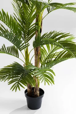 Discount KARE Design Roślina dekoracyjna Palm Tree 190 cm - KARE