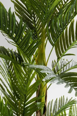Discount KARE Design Roślina dekoracyjna Palm Tree 190 cm - KARE