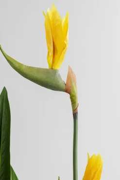 Fashion KARE Design Roślina dekoracyjna Paradise Flowers 190 cm - KARE