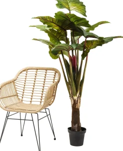 Sale KARE Design Roślina dekoracyjna Rainforest Red 170 cm kolorowa - KARE