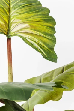 Sale KARE Design Roślina dekoracyjna Rainforest Red 170 cm kolorowa - KARE