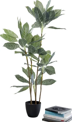 New KARE Design Roślina sztuczna dekoracyjna do salonu kalatea 140 cm - KARE