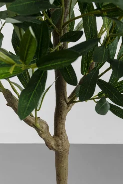 Clearance KARE Design Roślina sztuczna dekoracyjna drzewko oliwne 150 cm - KARE