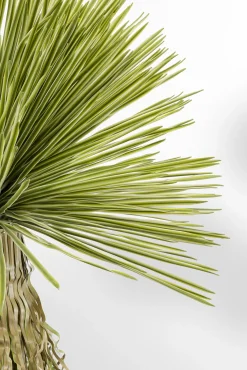 New KARE Design Roślina sztuczna dekoracyjna jukka 180 cm - KARE