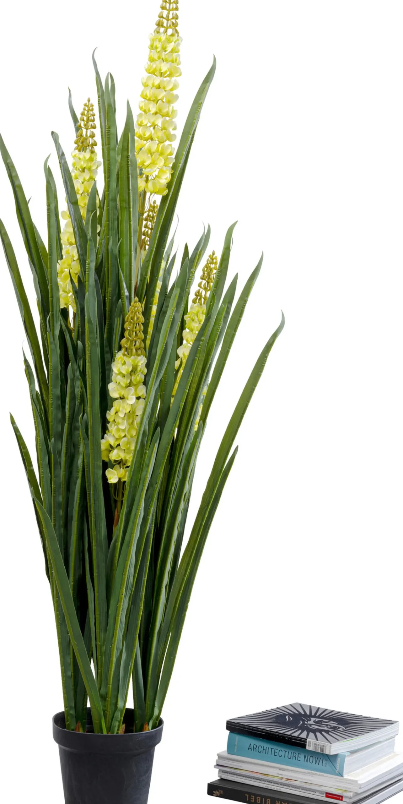 Hot KARE Design Roślina sztuczna dekoracyjna do salonu rhynchostylis 150 cm - KARE