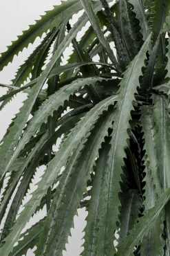 Best KARE Design Roślina sztuczna dekoracyjna drzewo smocze 155 cm - KARE