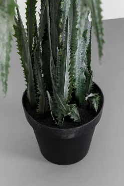 Best KARE Design Roślina sztuczna dekoracyjna drzewo smocze 155 cm - KARE