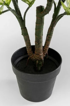 Hot KARE Design Roślina sztuczna do salonu difenbachia 100 cm - KARE