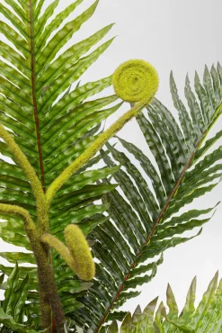 Outlet KARE Design Roślina sztuczna do salonu paproć 55 cm - KARE