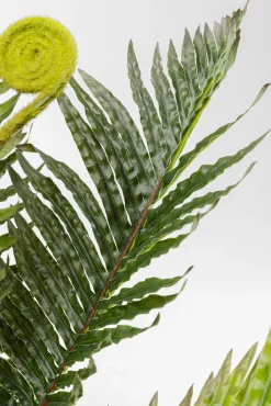 Outlet KARE Design Roślina sztuczna do salonu paproć 55 cm - KARE