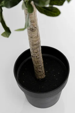 New KARE Design Roślina sztuczna drzewko oliwne 120 cm - KARE