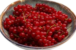 Outlet KARE Design Talerz głęboki Organic ∅20 cm biało-niebieski - KARE