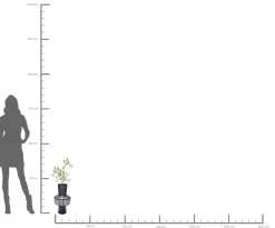 Clearance KARE Design Wazon Roulette Belly ∅24x42 cm biało-czarny - KARE