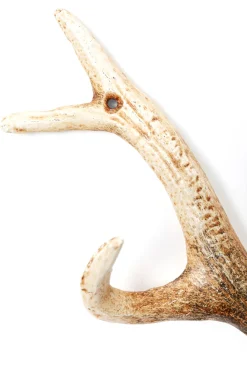 Online KARE Design Wieszak ścienny stalowy naturalny poroże 35 cm - KARE